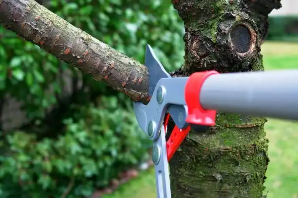 tree services Suring